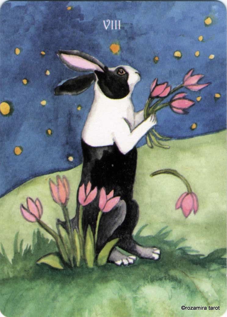 Rabbit Tarot